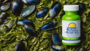best green lipped mussel supplement for humans