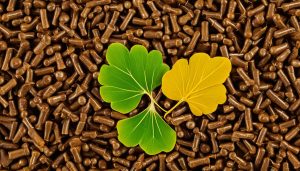 Best Ginkgo Biloba and Ginseng Supplement