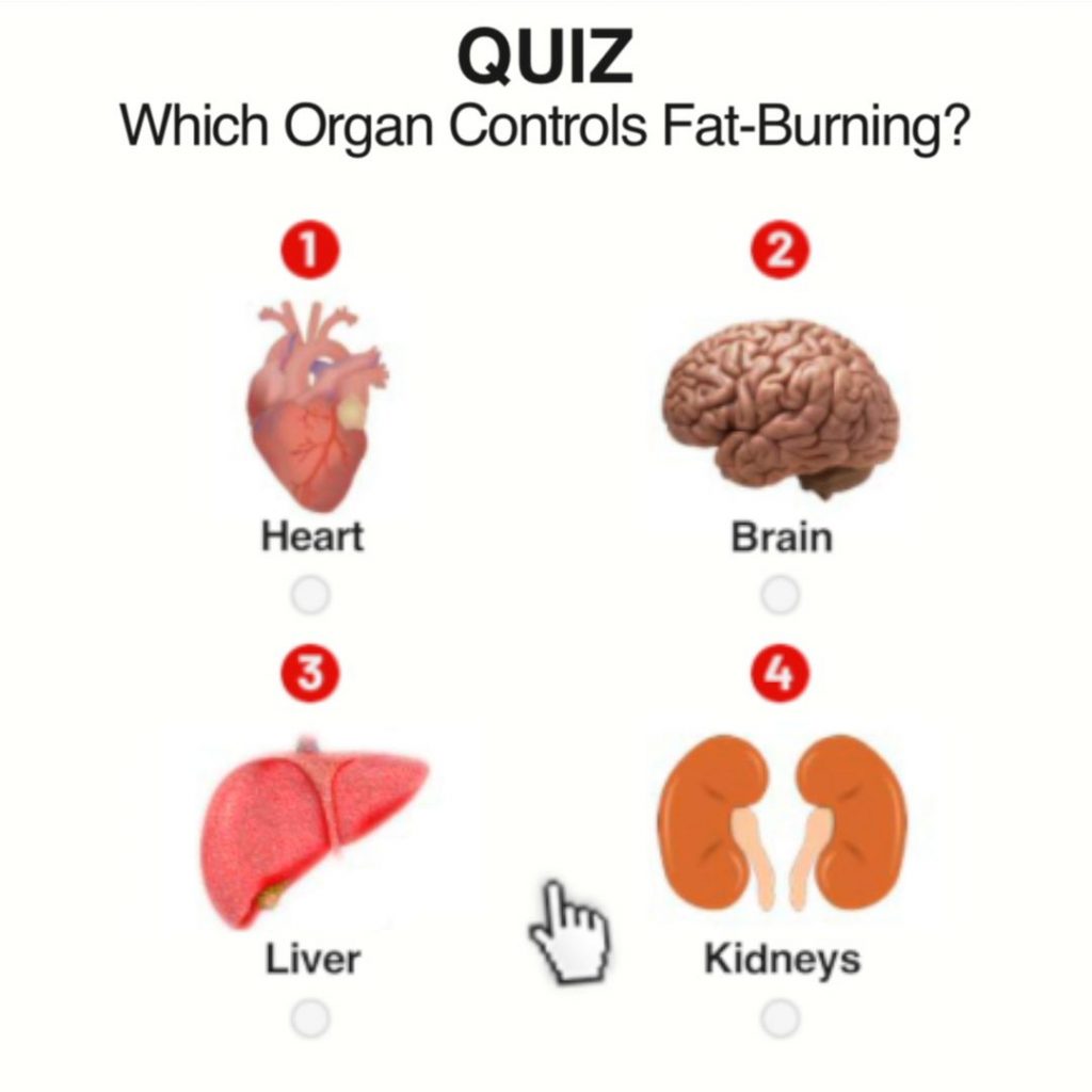 Fat burning quiz