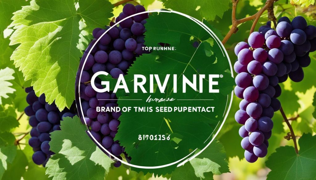 best grape seed extract brand